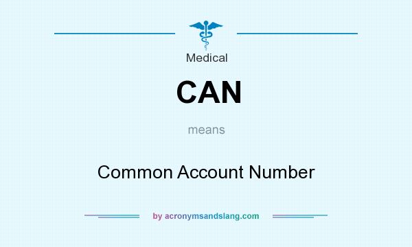 What does CAN mean? It stands for Common Account Number