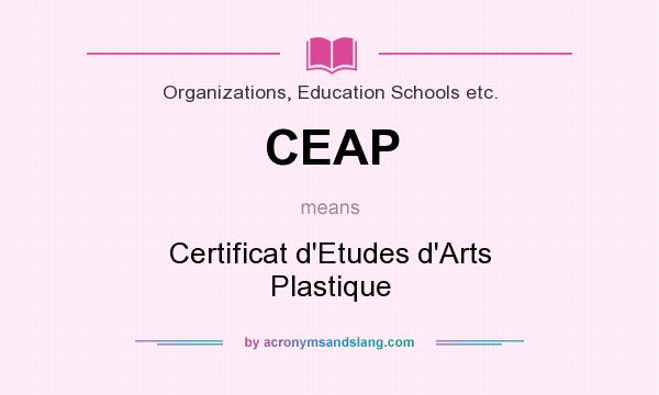 What does CEAP mean? It stands for Certificat d`Etudes d`Arts Plastique
