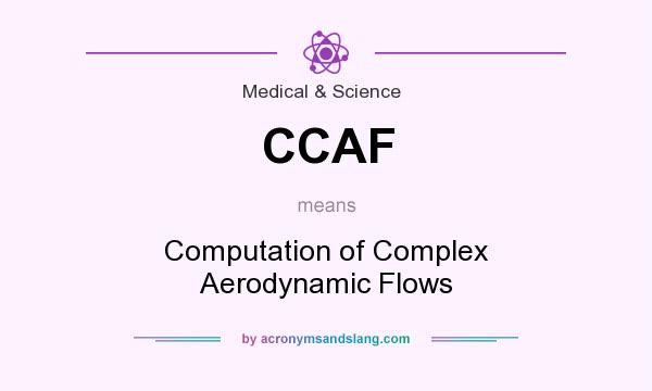 What does CCAF mean? It stands for Computation of Complex Aerodynamic Flows