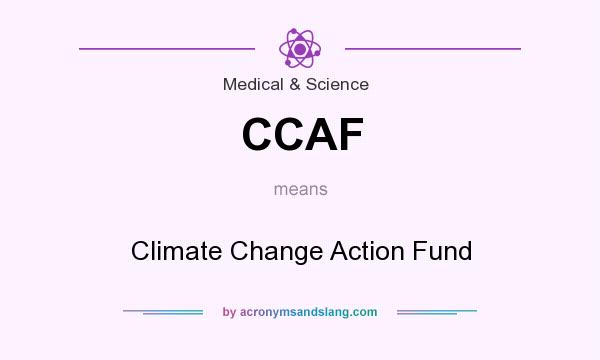 What does CCAF mean? It stands for Climate Change Action Fund