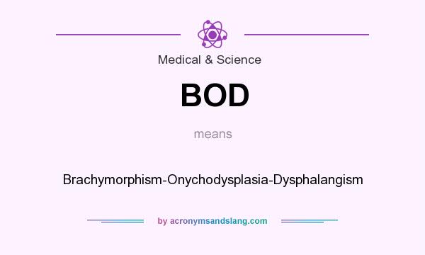 What does BOD mean? It stands for Brachymorphism-Onychodysplasia-Dysphalangism
