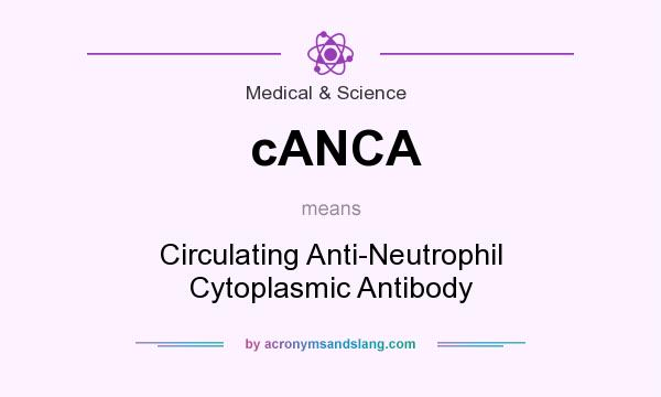 What does cANCA mean? It stands for Circulating Anti-Neutrophil Cytoplasmic Antibody