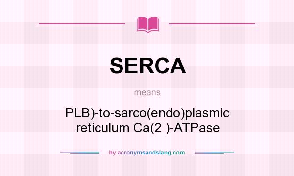 What does SERCA mean? It stands for PLB)-to-sarco(endo)plasmic reticulum Ca(2 )-ATPase