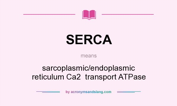 What does SERCA mean? It stands for sarcoplasmic/endoplasmic reticulum Ca2  transport ATPase