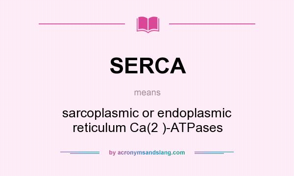 What does SERCA mean? It stands for sarcoplasmic or endoplasmic reticulum Ca(2 )-ATPases