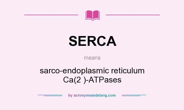 What does SERCA mean? It stands for sarco-endoplasmic reticulum Ca(2 )-ATPases