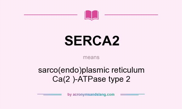 What does SERCA2 mean? It stands for sarco(endo)plasmic reticulum Ca(2 )-ATPase type 2