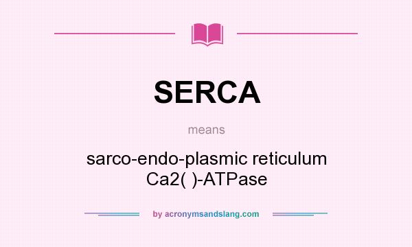 What does SERCA mean? It stands for sarco-endo-plasmic reticulum Ca2( )-ATPase