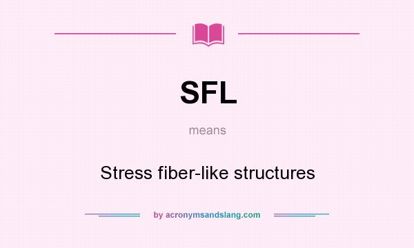 What does SFL mean? It stands for Stress fiber-like structures