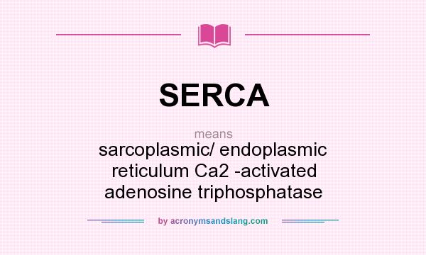 What does SERCA mean? It stands for sarcoplasmic/ endoplasmic reticulum Ca2 -activated adenosine triphosphatase