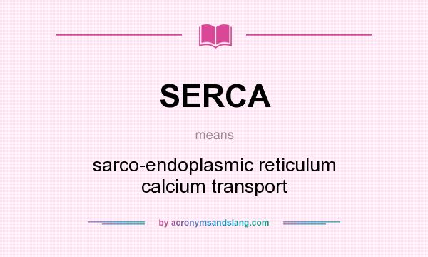 What does SERCA mean? It stands for sarco-endoplasmic reticulum calcium transport