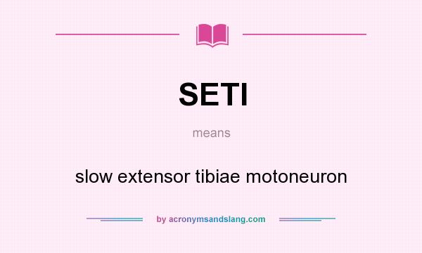 What does SETI mean? It stands for slow extensor tibiae motoneuron