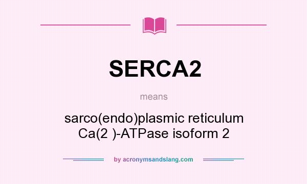 What does SERCA2 mean? It stands for sarco(endo)plasmic reticulum Ca(2 )-ATPase isoform 2