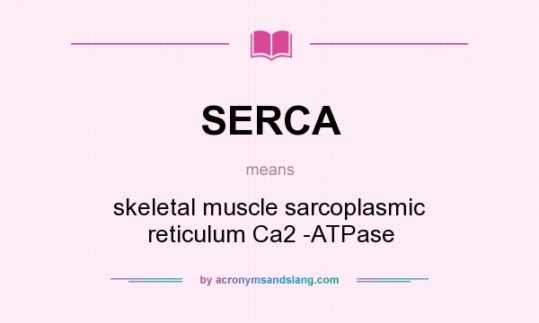 What does SERCA mean? It stands for skeletal muscle sarcoplasmic reticulum Ca2 -ATPase
