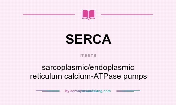 What does SERCA mean? It stands for sarcoplasmic/endoplasmic reticulum calcium-ATPase pumps