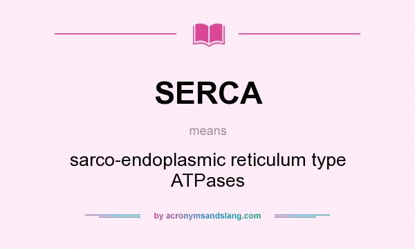 What does SERCA mean? It stands for sarco-endoplasmic reticulum type ATPases