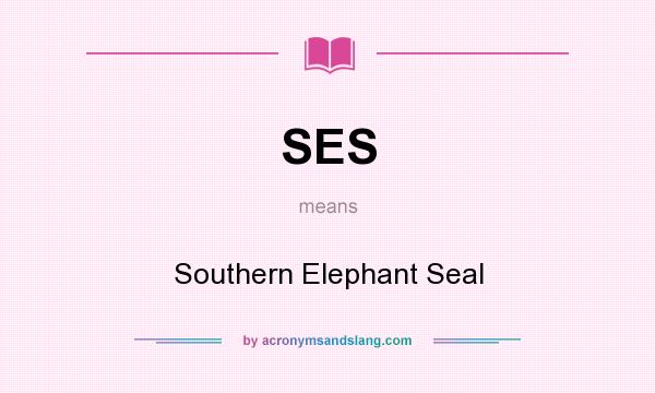 What does SES mean? It stands for Southern Elephant Seal