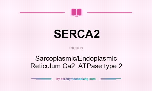 What does SERCA2 mean? It stands for Sarcoplasmic/Endoplasmic Reticulum Ca2  ATPase type 2