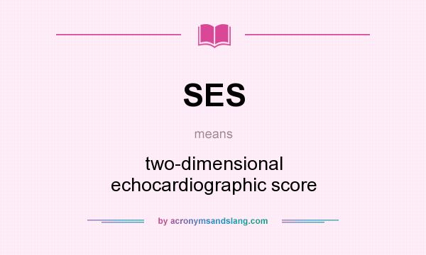What does SES mean? It stands for two-dimensional echocardiographic score