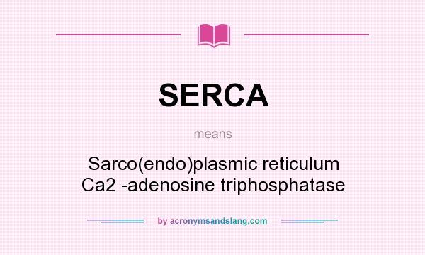 What does SERCA mean? It stands for Sarco(endo)plasmic reticulum Ca2 -adenosine triphosphatase