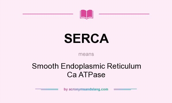 What does SERCA mean? It stands for Smooth Endoplasmic Reticulum Ca ATPase