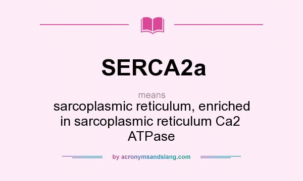 What does SERCA2a mean? It stands for sarcoplasmic reticulum, enriched in sarcoplasmic reticulum Ca2  ATPase