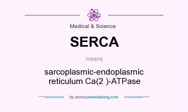 What does SERCA mean? It stands for sarcoplasmic-endoplasmic reticulum Ca(2 )-ATPase