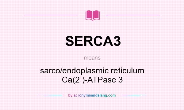 What does SERCA3 mean? It stands for sarco/endoplasmic reticulum Ca(2 )-ATPase 3
