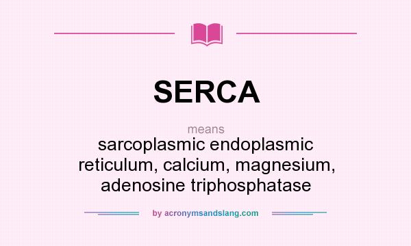 What does SERCA mean? It stands for sarcoplasmic endoplasmic reticulum, calcium, magnesium, adenosine triphosphatase