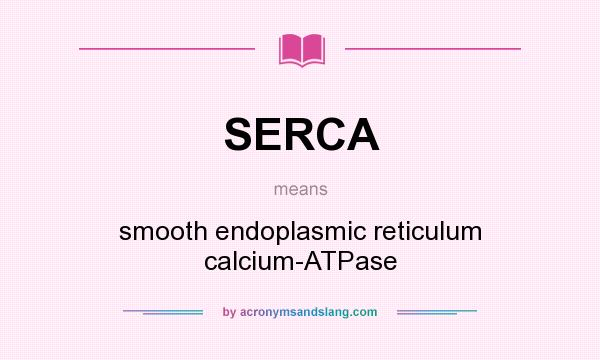 What does SERCA mean? It stands for smooth endoplasmic reticulum calcium-ATPase