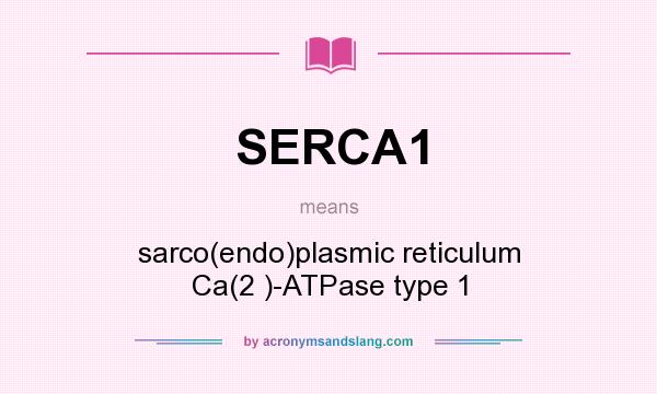 What does SERCA1 mean? It stands for sarco(endo)plasmic reticulum Ca(2 )-ATPase type 1