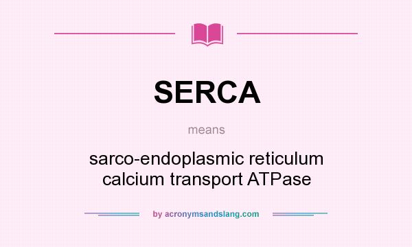 What does SERCA mean? It stands for sarco-endoplasmic reticulum calcium transport ATPase