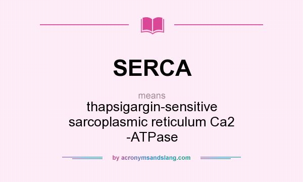 What does SERCA mean? It stands for thapsigargin-sensitive sarcoplasmic reticulum Ca2 -ATPase