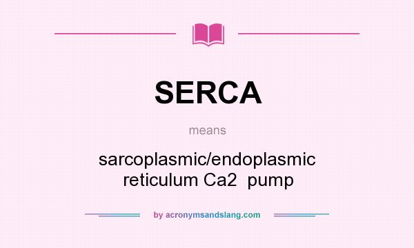 What does SERCA mean? It stands for sarcoplasmic/endoplasmic reticulum Ca2  pump