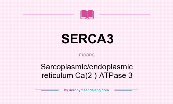What does SERCA3 mean? It stands for Sarcoplasmic/endoplasmic reticulum Ca(2 )-ATPase 3