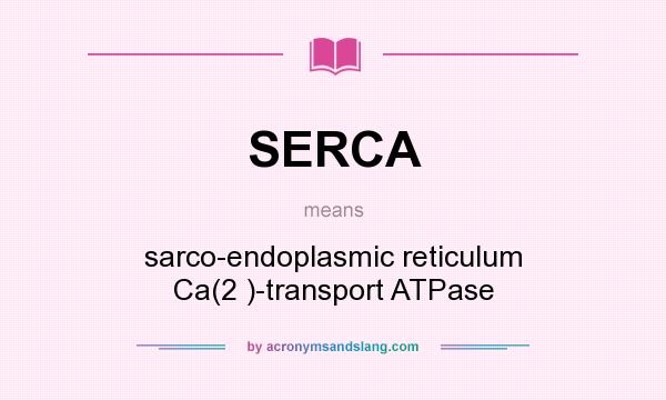 What does SERCA mean? It stands for sarco-endoplasmic reticulum Ca(2 )-transport ATPase