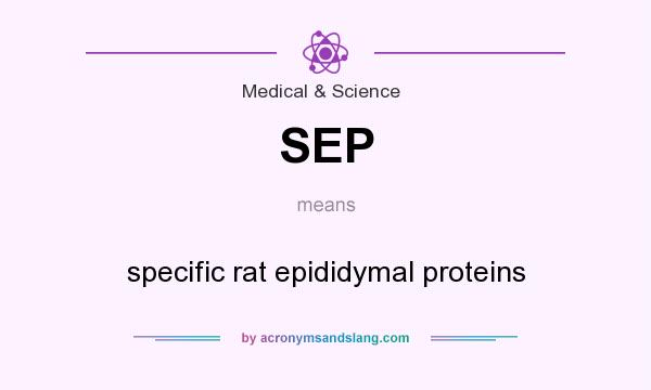What does SEP mean? It stands for specific rat epididymal proteins
