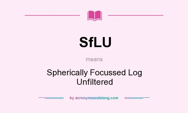 What does SfLU mean? It stands for Spherically Focussed Log Unfiltered