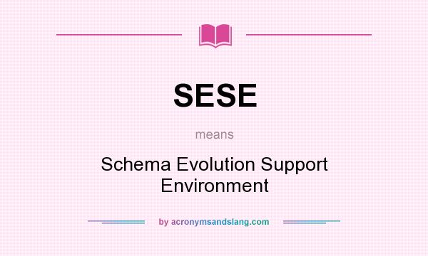 What does SESE mean? It stands for Schema Evolution Support Environment