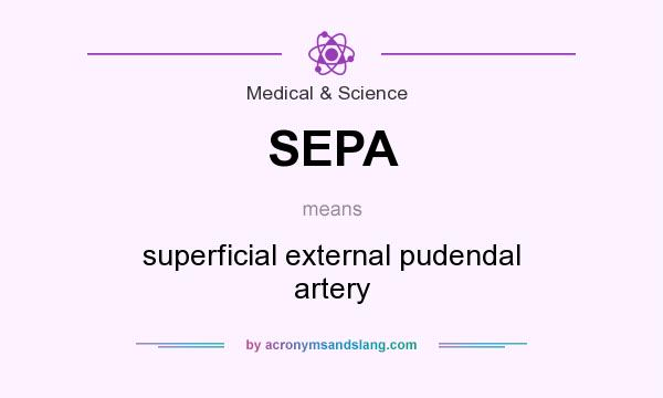 What does SEPA mean? It stands for superficial external pudendal artery