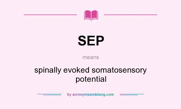 What does SEP mean? It stands for spinally evoked somatosensory potential