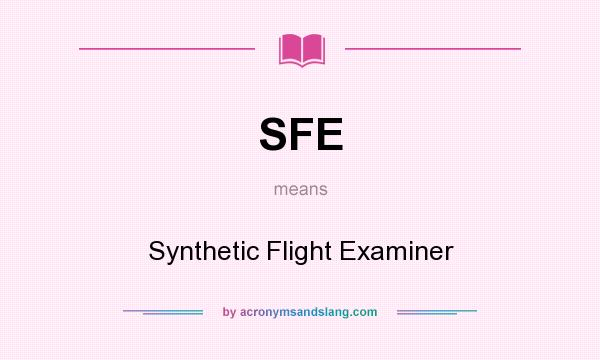 What does SFE mean? It stands for Synthetic Flight Examiner