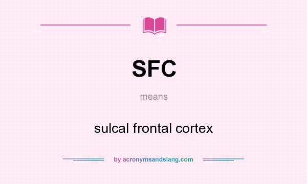 What does SFC mean? It stands for sulcal frontal cortex