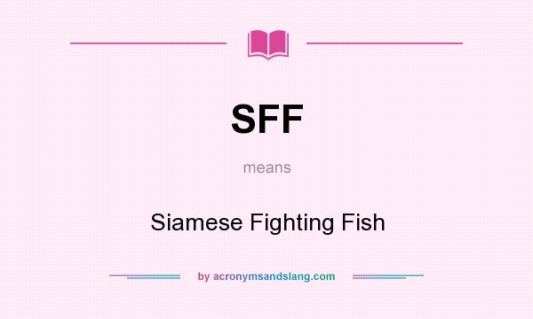 What does SFF mean? It stands for Siamese Fighting Fish