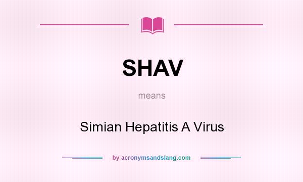What does SHAV mean? It stands for Simian Hepatitis A Virus