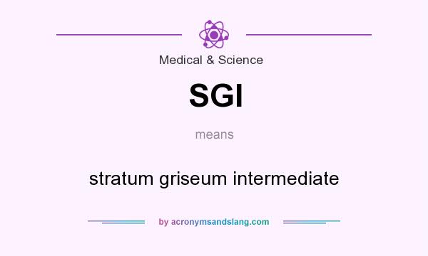 What does SGI mean? It stands for stratum griseum intermediate