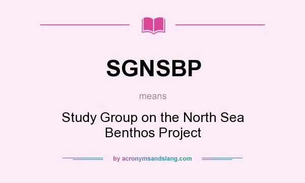 What does SGNSBP mean? It stands for Study Group on the North Sea Benthos Project