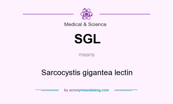 What does SGL mean? It stands for Sarcocystis gigantea lectin