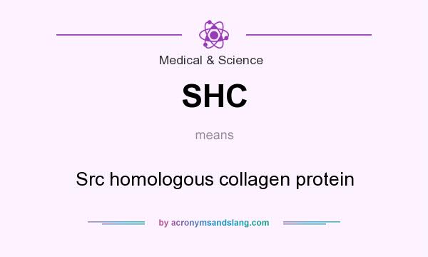 What does SHC mean? It stands for Src homologous collagen protein