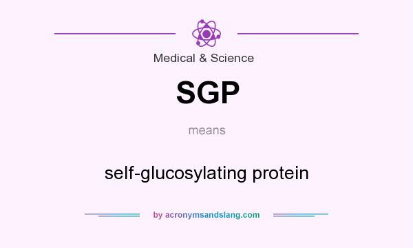 What does SGP mean? It stands for self-glucosylating protein